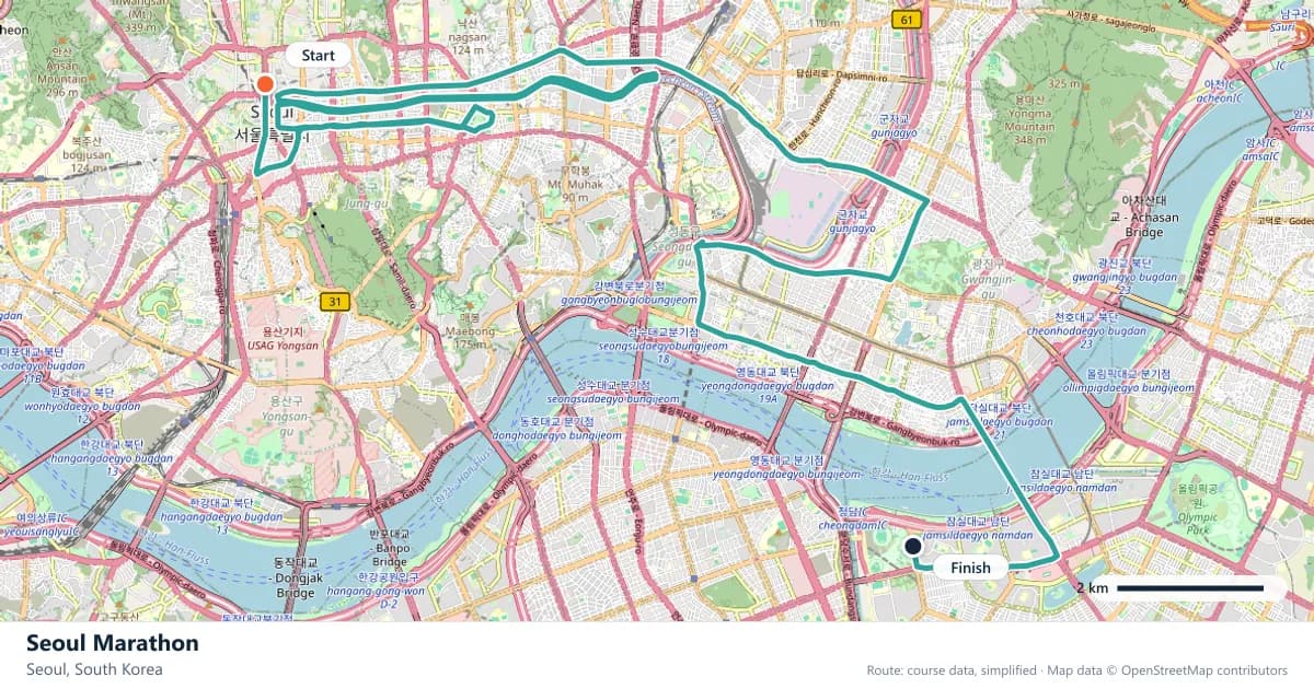 Seoul Marathon course map: the route through Seoul, with the start and the finish marked.