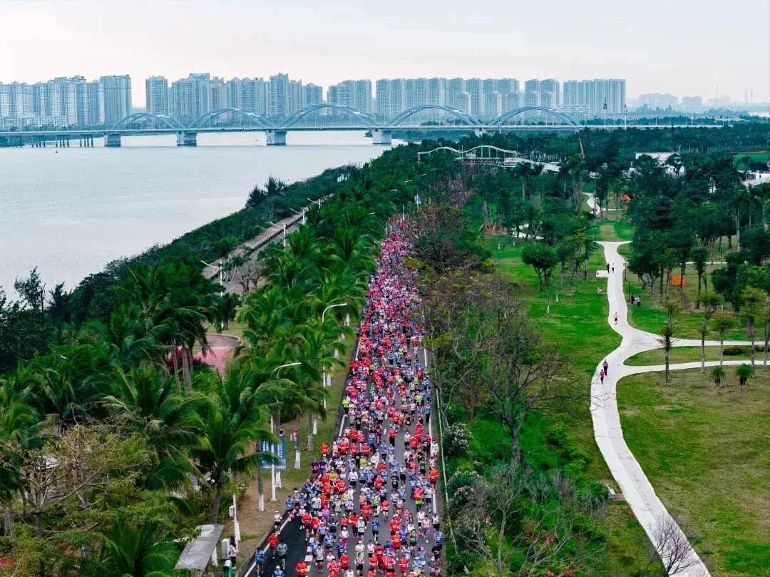 Palm-lined coastal road used by the race